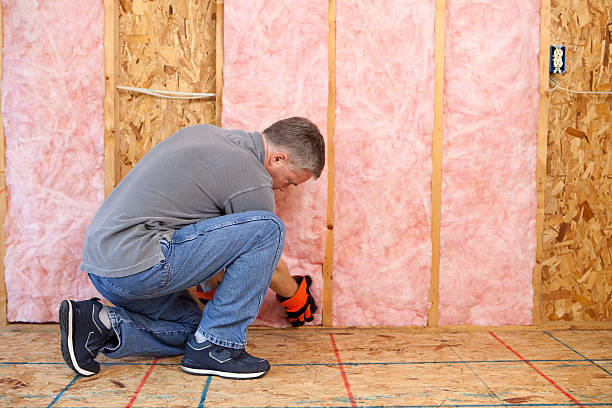 Best Geographic-Specific Insulation Services in Garrison, ND